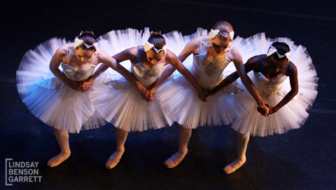 Ballet Nova's Swan Lake, 2013. Photography by Lindsay Benson Garrett.