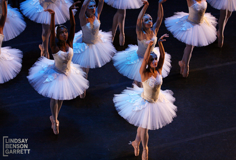 Ballet Nova's Swan Lake, 2013. Photography by Lindsay Benson Garrett.