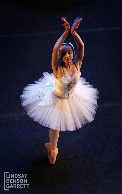 Ballet Nova's Swan Lake, 2013. Photography by Lindsay Benson Garrett.