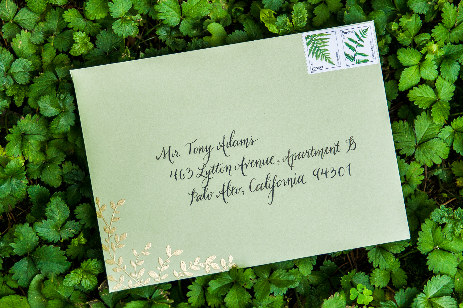 Calligraphy on wedding envelope