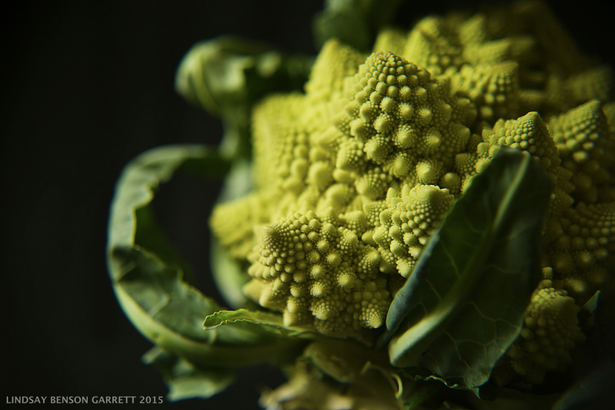 Broccoli - by Lindsay Benson Garrett