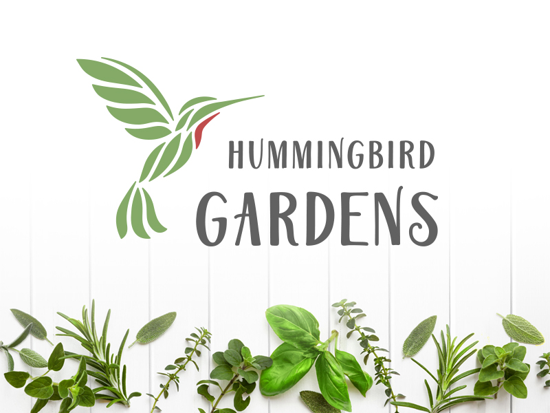 Hummingbird Gardens logo herbs