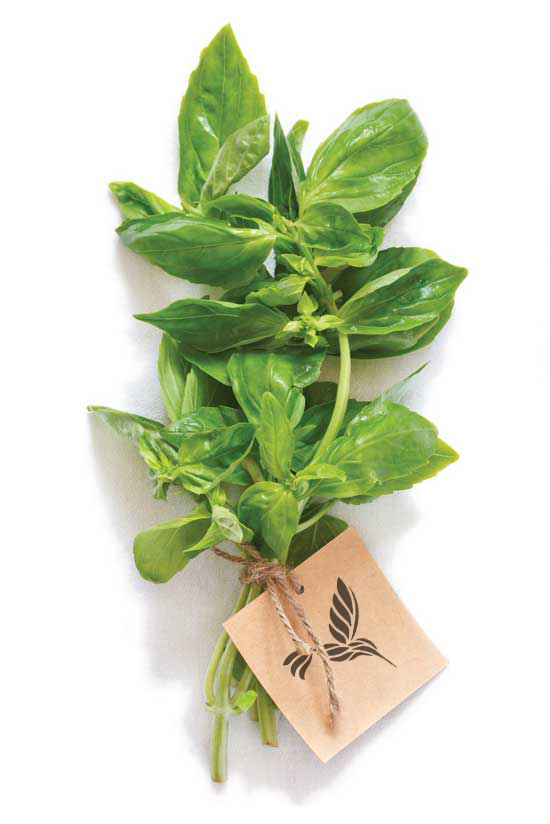 Hummingbird Gardens logo basil